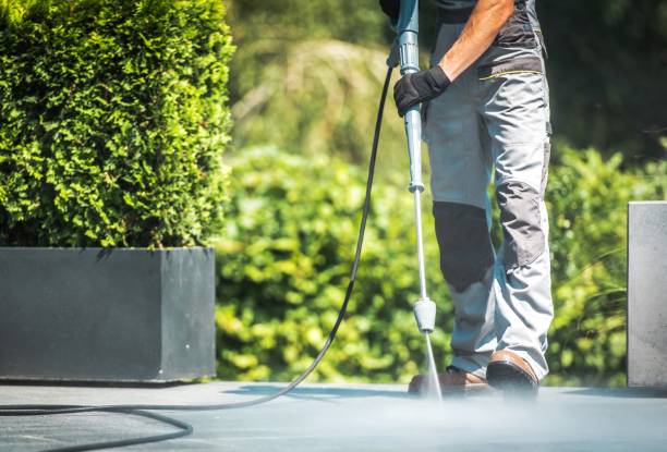 Best Residential Pressure Washing in Renovo, PA